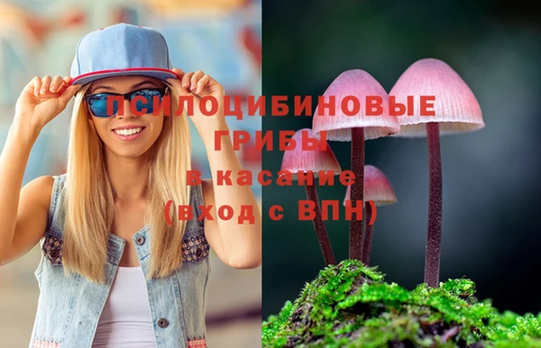 spice Армянск