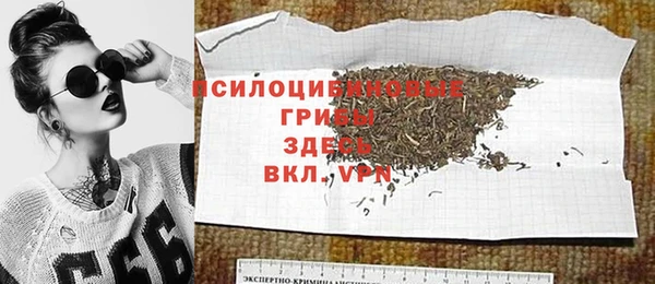 эйфоретик Аркадак