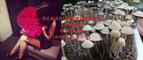 таблы Арсеньев