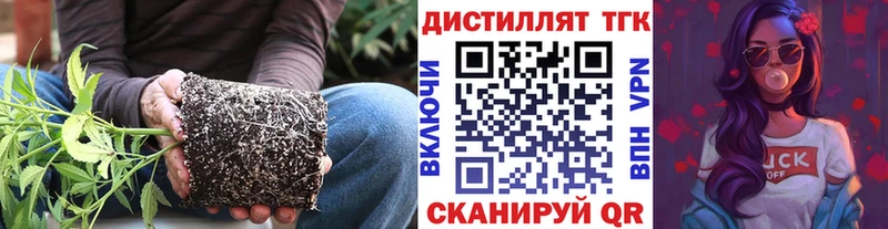 Дистиллят ТГК Wax  Благодарный 