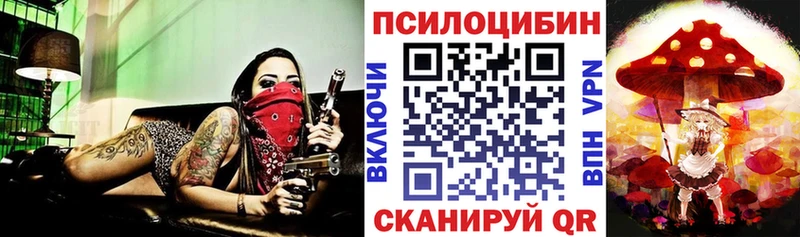 кракен ССЫЛКА  Благодарный  Галлюциногенные грибы Cubensis  наркошоп 